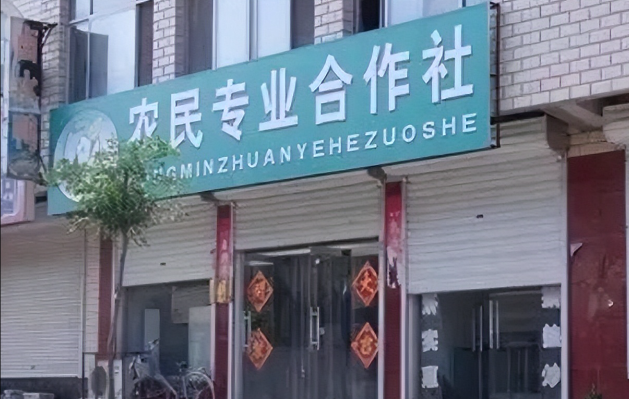 济宁代办农民专业合作社、济宁农民专业合作社代办、济宁设立农民专业合作社有哪些条件