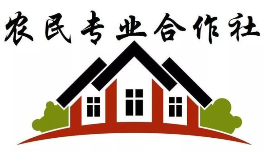 济宁农民专业合作社设立代办、济宁农民专业合作社设立、济宁农民专业合作社设立办理